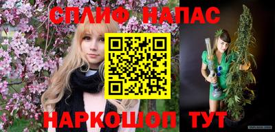 мяу мяу мука Абакан