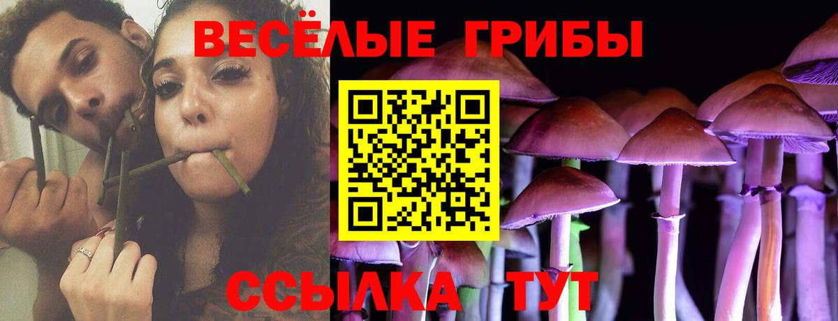 Алатырь  Псилоцибиновые грибы GOLDEN TEACHER  Вход с VPN 