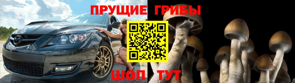 Галлюциногенные грибы Magic Shrooms Алатырь